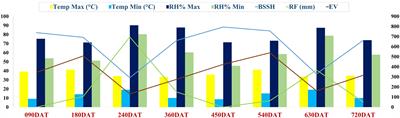 Cultivation viability of Allium tuberosum L. in the Western Ghats: insights into crop dynamics, yield and quality